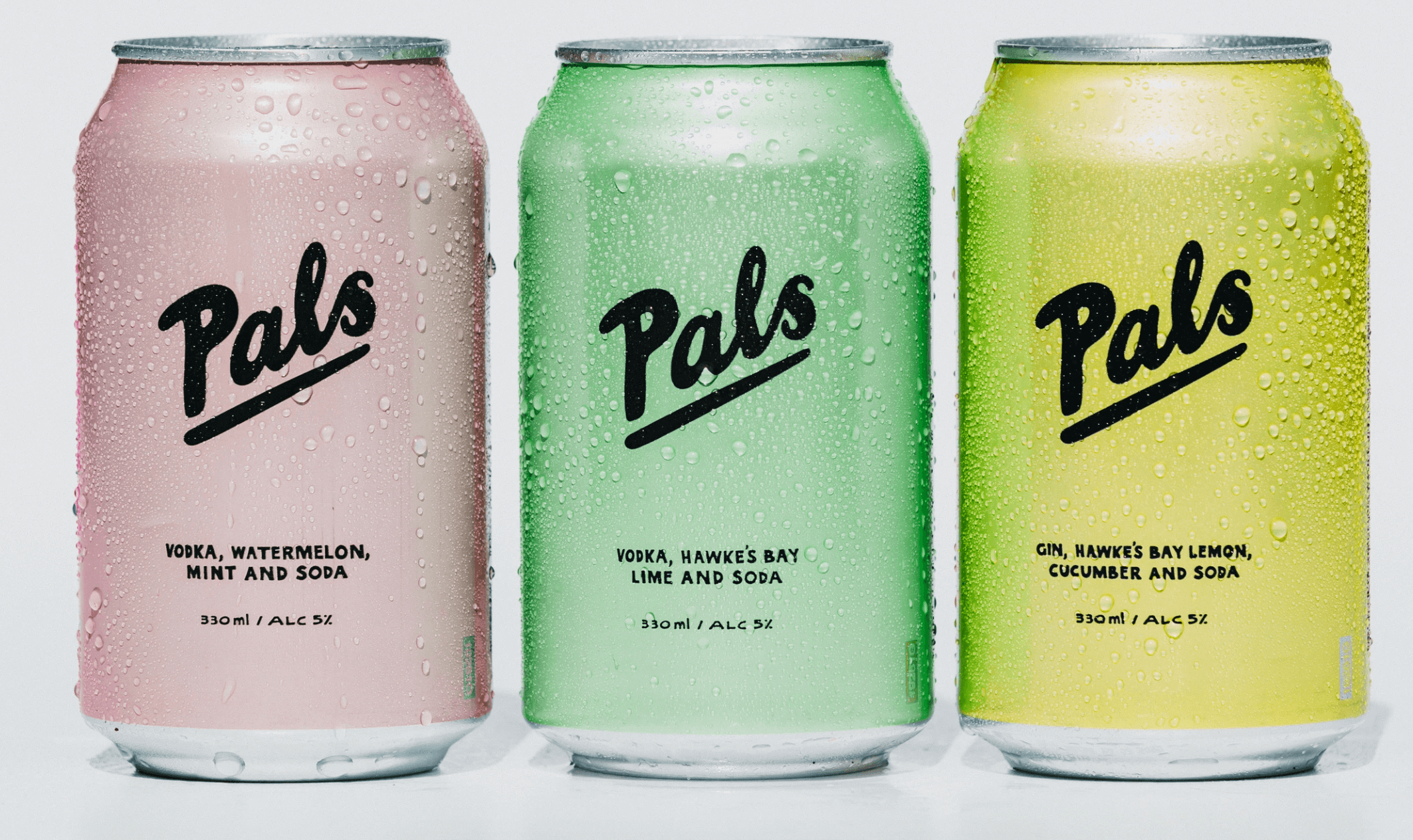 Pal Seltzer Cans - One of the brands Start Digital has been loving in 2021. 